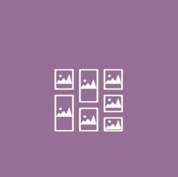 OL Gallery joomla module - displays galleries of images and videos